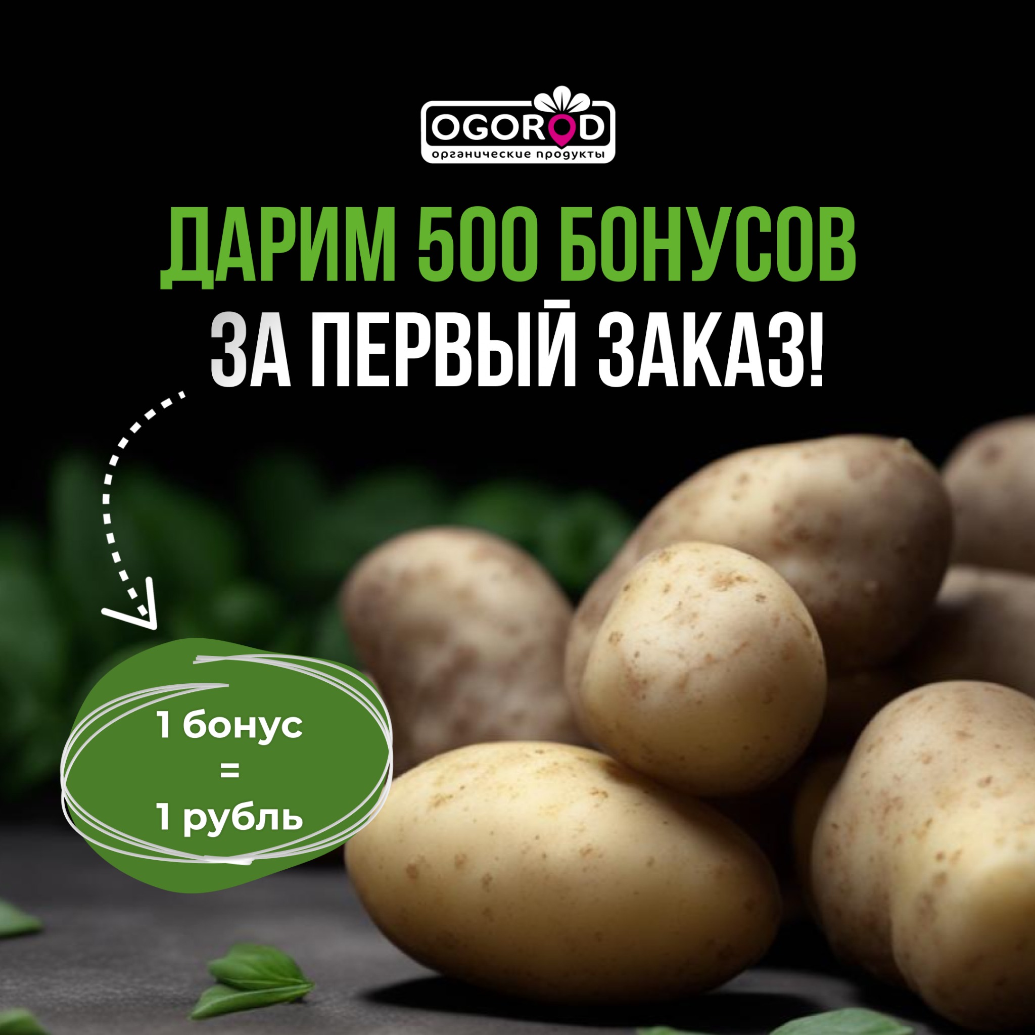 Рекламный креатив: Дарим 500 бонусов за первый заказ